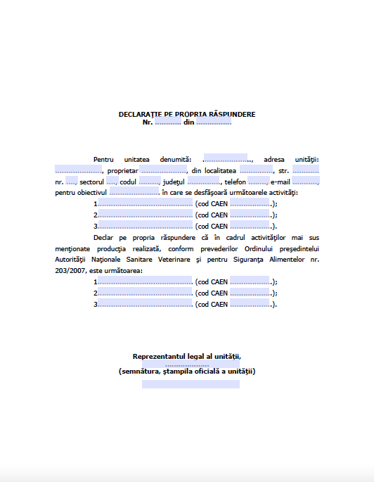 Model de declaratie pe propria raspundere productie realizata